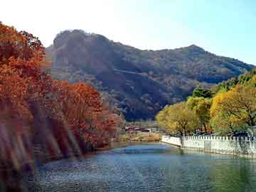 澳门二四六天天彩图库，夜场风云